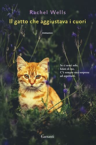 Gatto che aggiustava i - il,