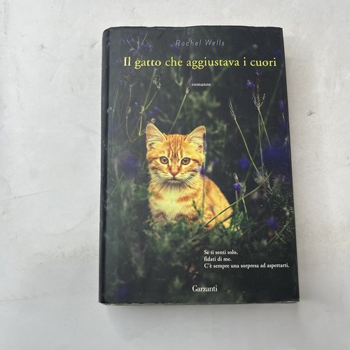Rachel wells gatto che - il,