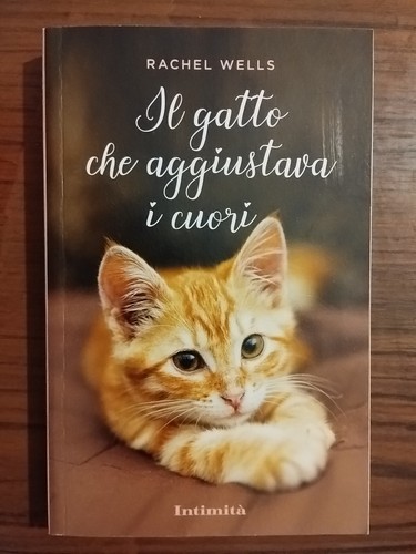 Gatto che aggiustava i - il,