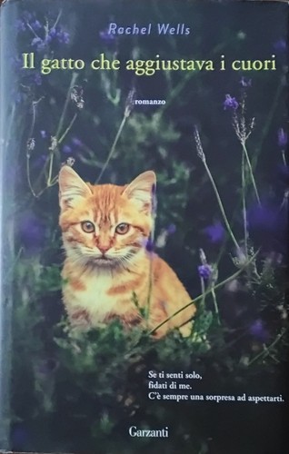 Gatto che aggiustava i - che,