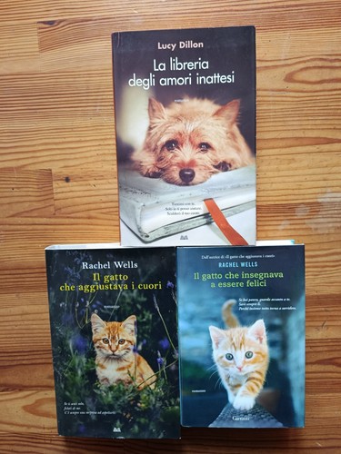 Gatto che aggiustava i - che,