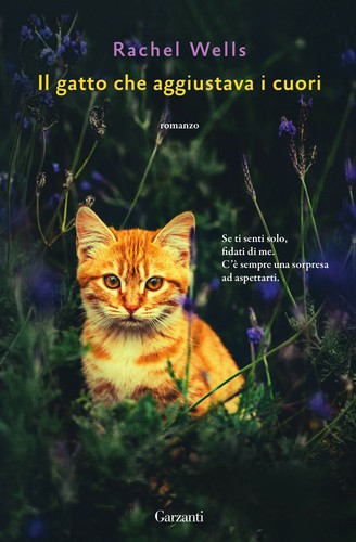 Libri wells rachel il - libri,